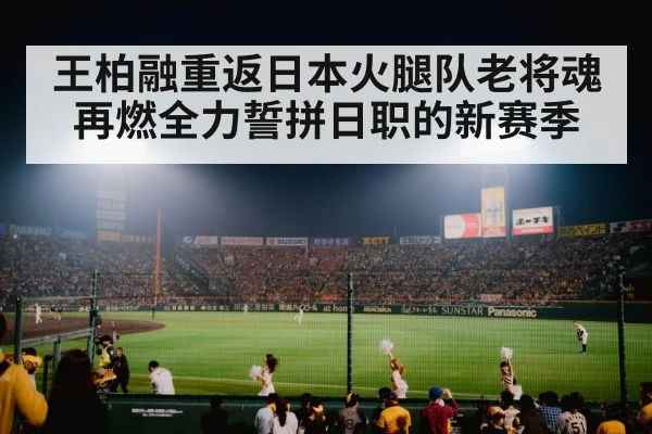 baseball stadium Japan